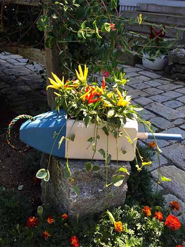 Lobster Buoy Planter