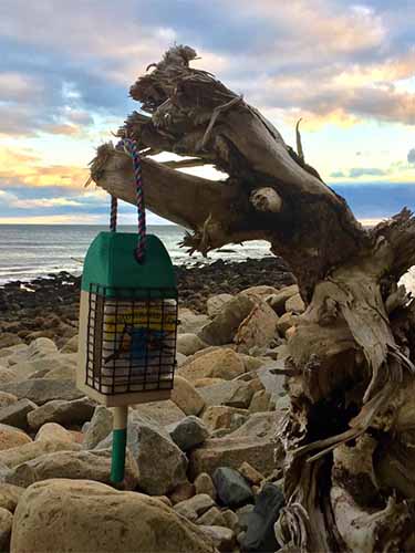 Lobster Buoy Suet Feeder