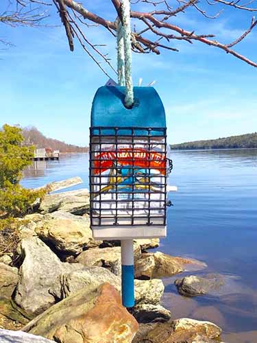 Lobster Buoy Suet Feeder